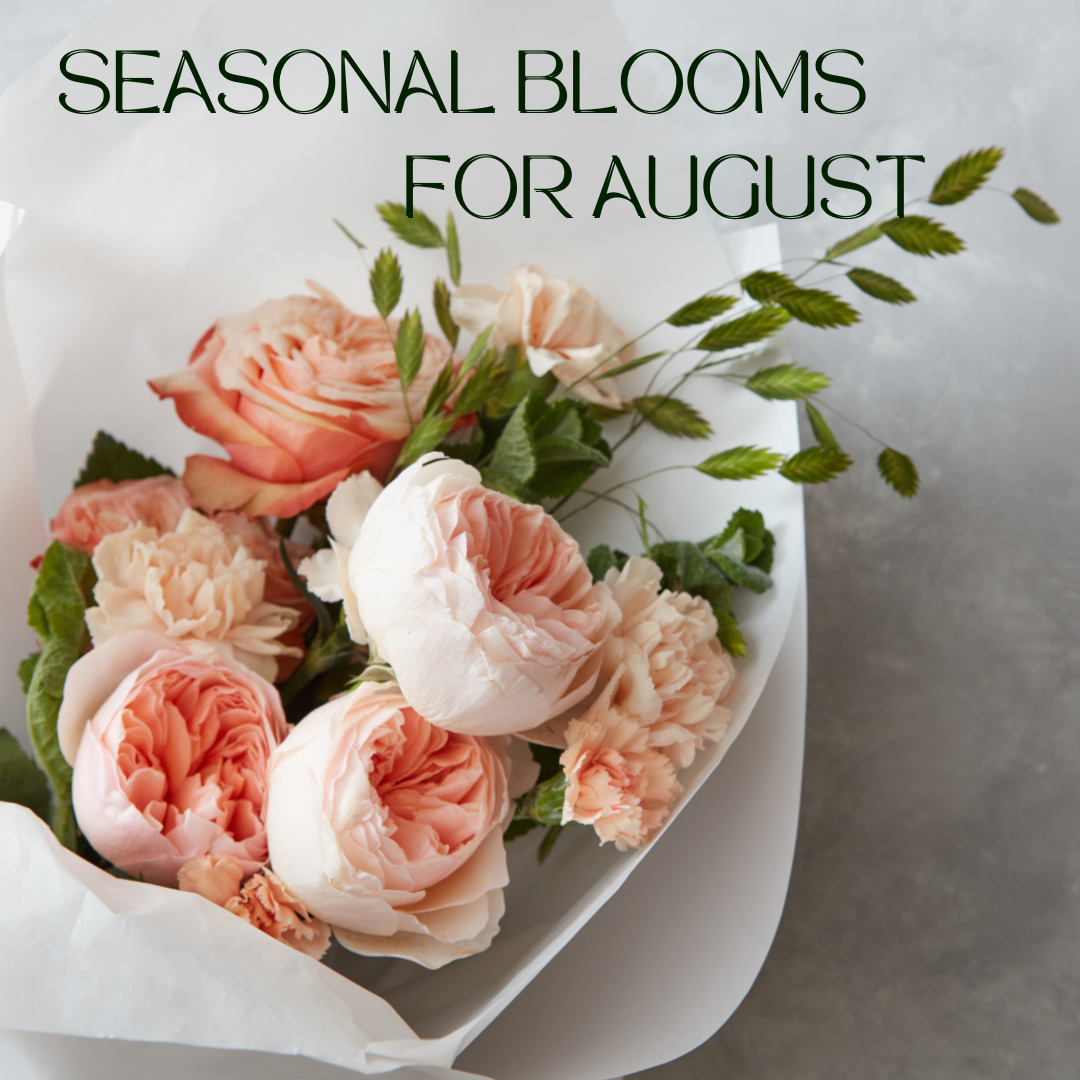 Summer flowers Abu Dhabi